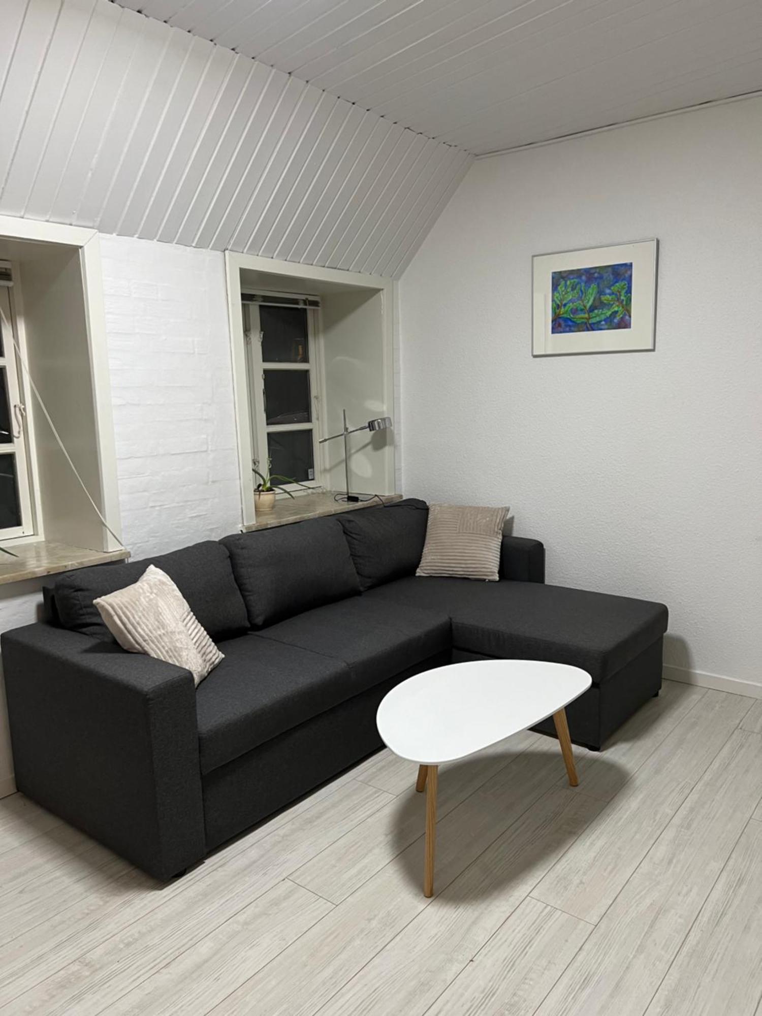 Apartment With Wifi, Close To City Center, Beach And Forrest Aabenraa Exterior photo